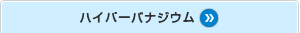ハイパーバナジウム