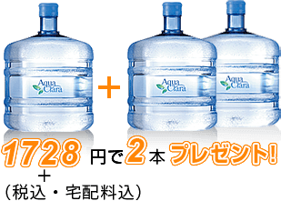 3456円＋消費税で2本プレゼント