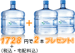 1512円＋消費税で2本プレゼント